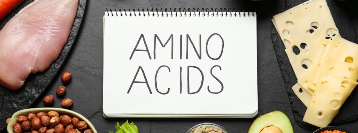 Notebook labeled Amino Acids surrounded by protein-rich foods including chicken, cheese, avocado and hazelnuts on a dark slate surface