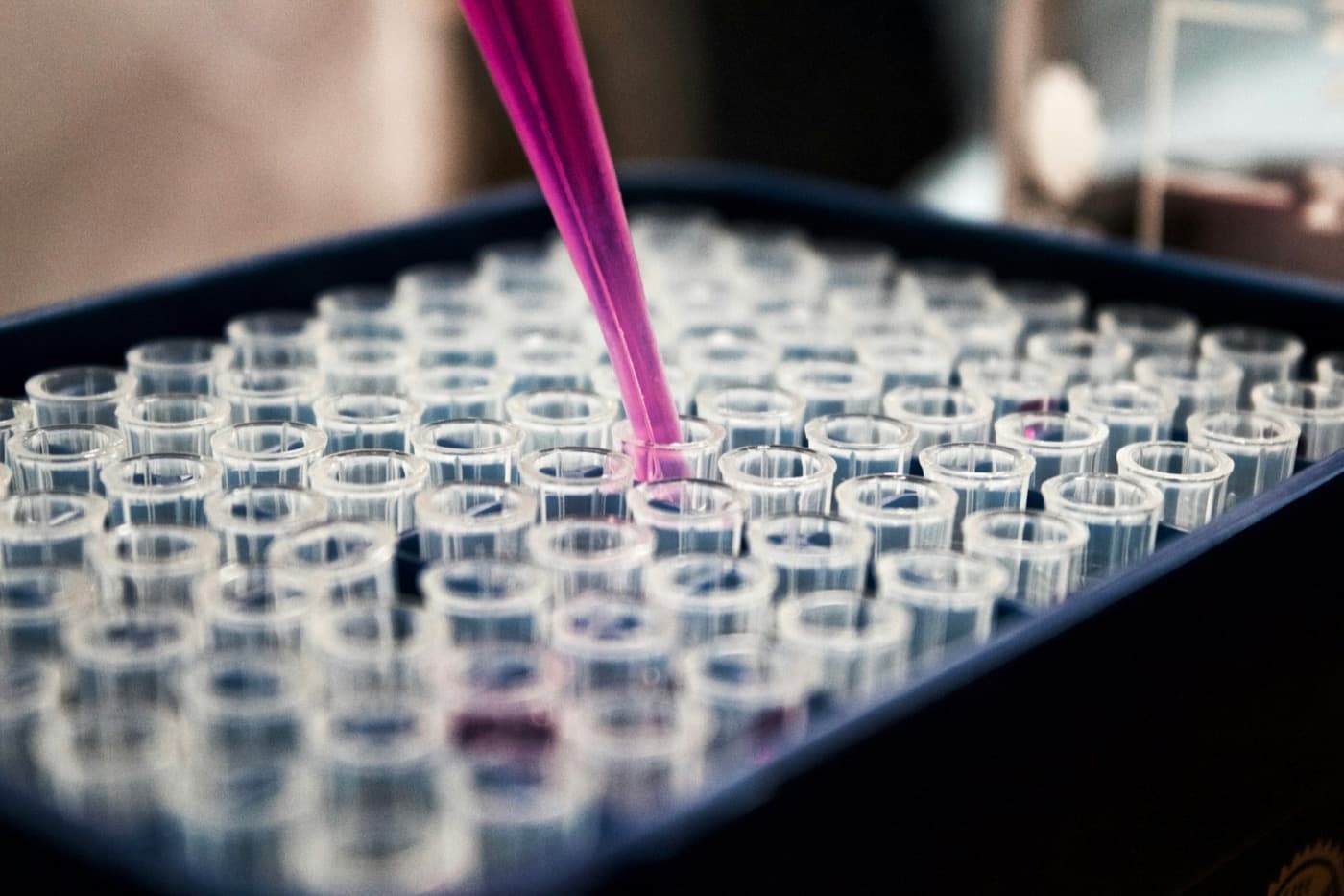 Chemical Industry activated carbon application