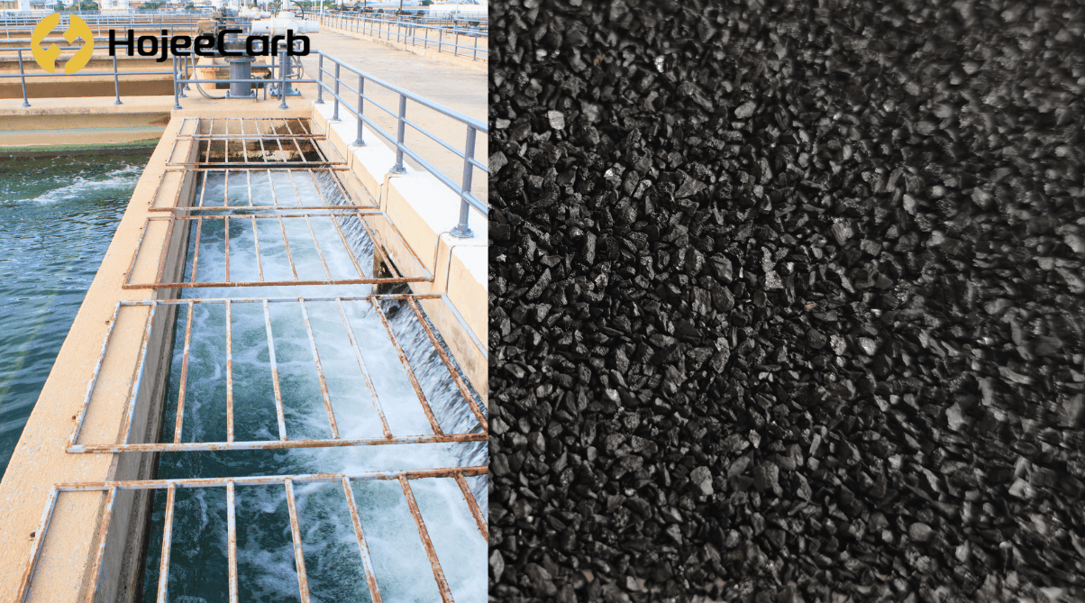 Water treatment plant filtration basins and HojeeAqua BG900 coal-based granular activated carbon for THM and DBP removal