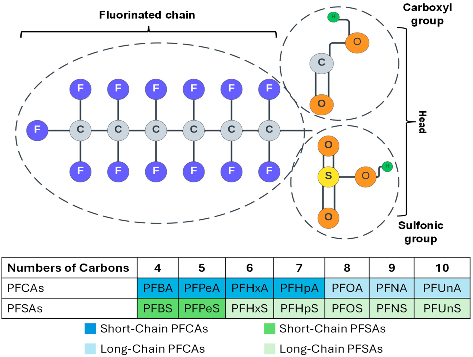 PFAS chain-length classification by number of carbons — PFCAs and PFSAs grouped as short-chain vs long-chain, with fluorinated tail and carboxyl/sulfonic head groups