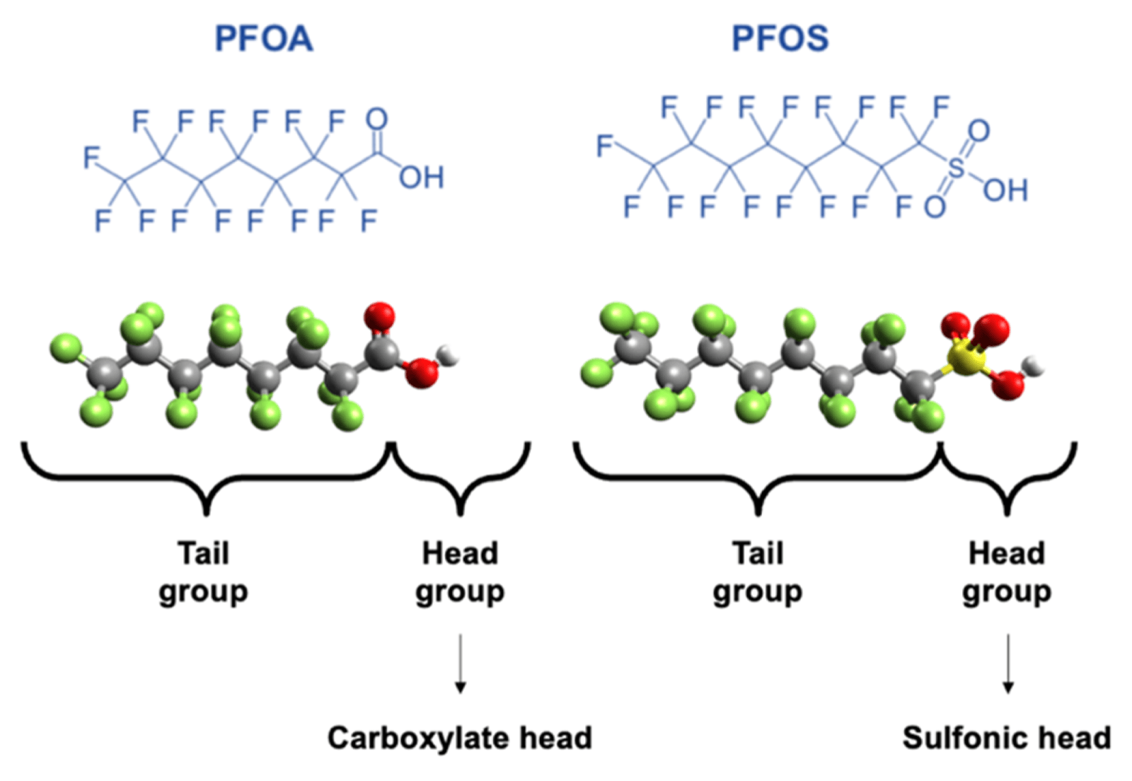 PFOA vs PFOS molecular structure — fluorinated tail group and carboxylate vs sulfonic head group, both eight-carbon long-chain PFAS