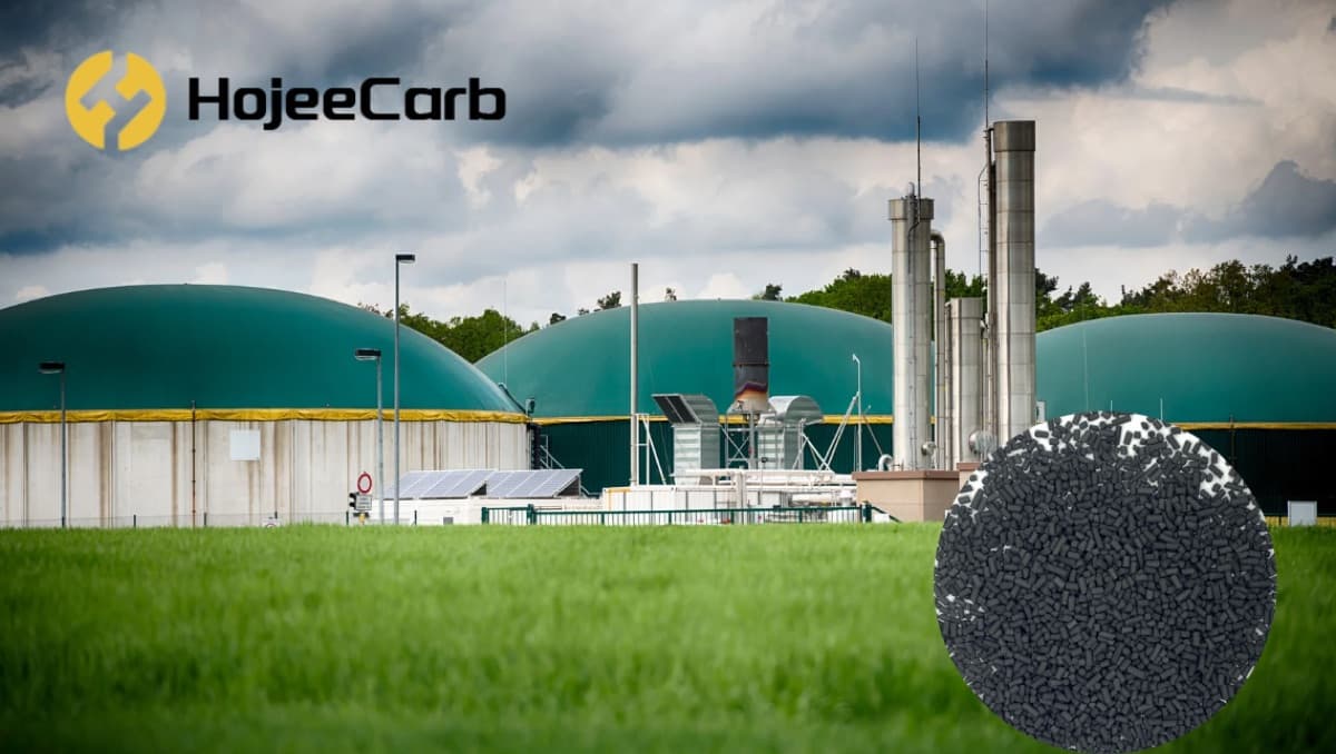 Biogas plant where KOH-impregnated activated carbon removes H₂S from biogas before engine combustion