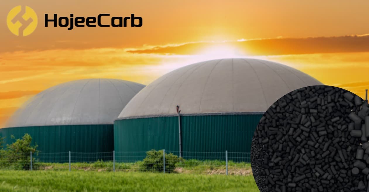 Coal-based columnar activated carbon for biogas H₂S removal — 78 tons shipped to the UAE