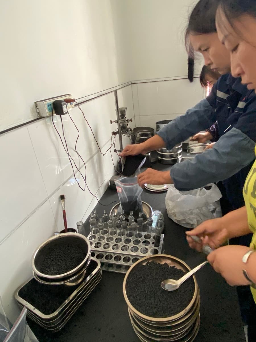 Quality inspector examining activated carbon test results